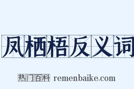 凤栖梧反义词是什么意思的图片